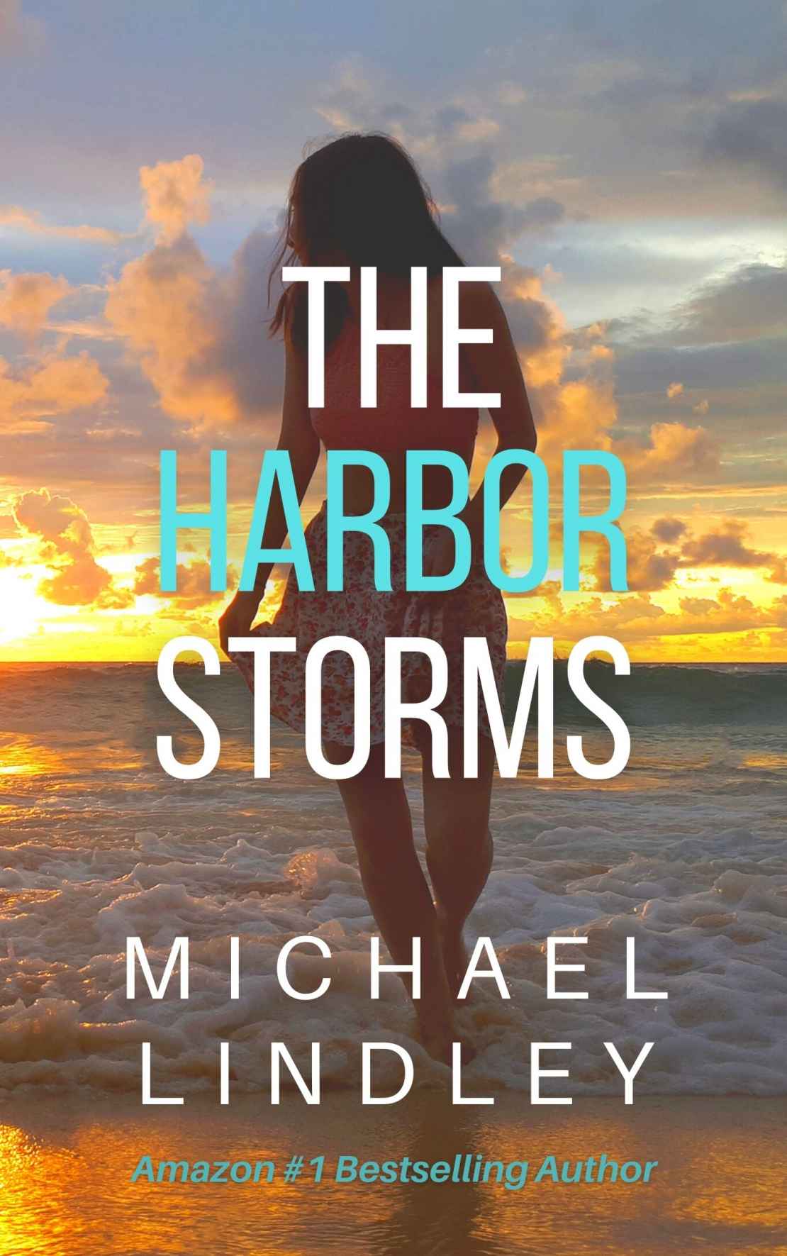 The Harbor Storms The Hanna And Alex Low Country Suspense Thriller Series Book 5 Michael Lindley