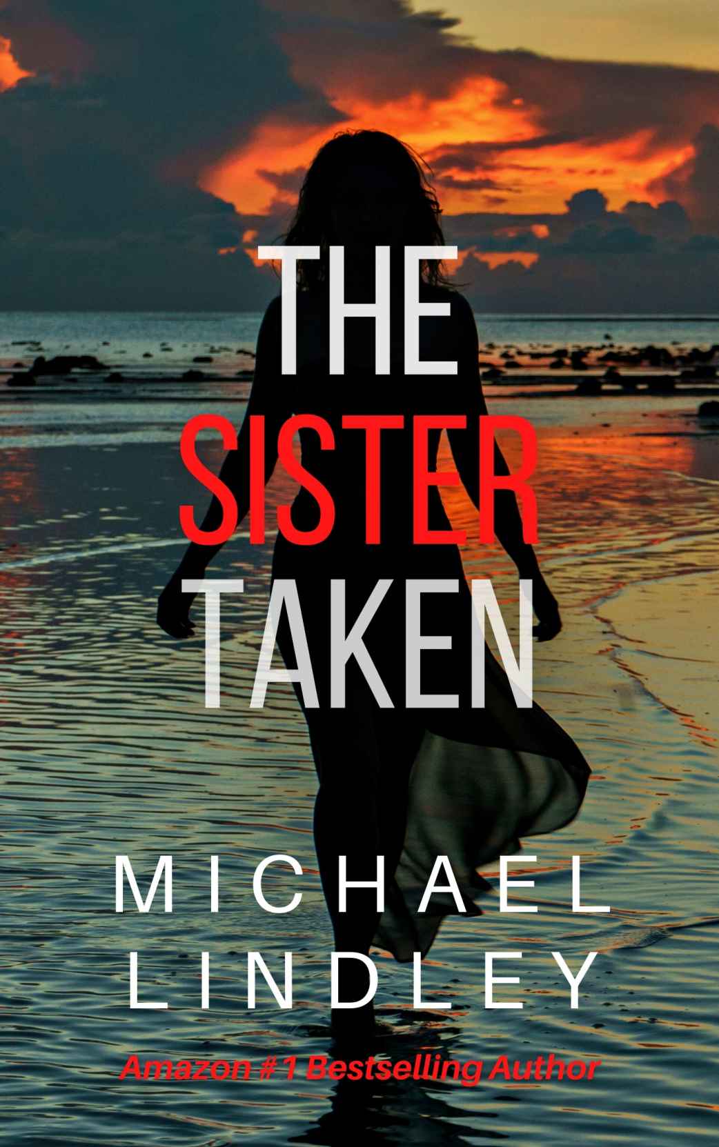 The Sister Taken The Hanna And Alex Low Country Suspense Thriller Series Book 4 Michael Lindley