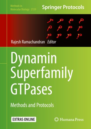 Dynamin Superfamily Gtpases Methods And Protocols 1st Ed Rajesh Ramachandran