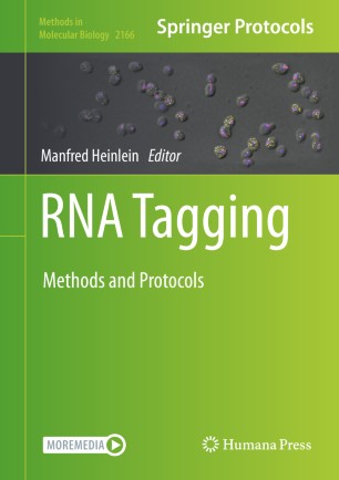 Rna Tagging Methods And Protocols 1st Ed Manfred Heinlein