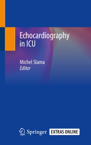 Echocardiography In Icu 1st Ed Michel Slama