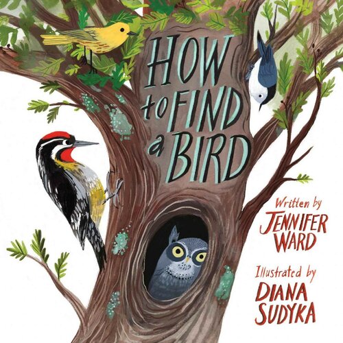 How To Find A Bird Jennifer Ward