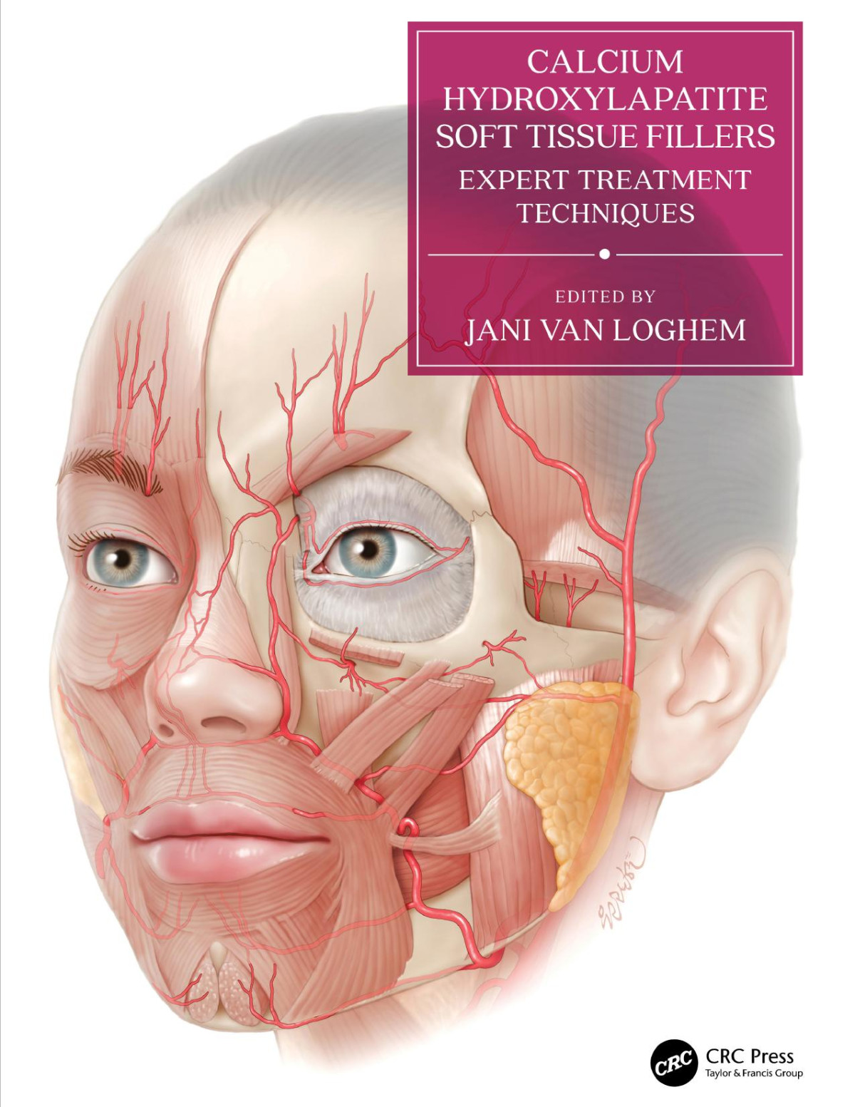 Calcium Hydroxylapatite Soft Tissue Fillers Expert Treatment Techniques 1st Jani Van Loghem Editor