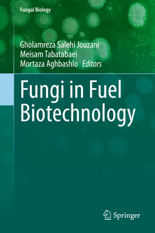 Fungi In Fuel Biotechnology 1st Ed Gholamreza Salehi Jouzani