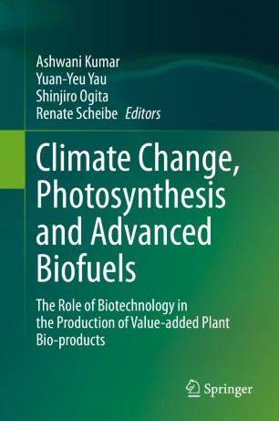 Climate Change Photosynthesis And Advanced Biofuels The Role Of Biotechnology In The Production Of Valueadded Plant Bioproducts 1st Ed Ashwani Kumar