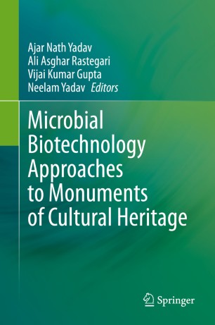 Microbial Biotechnology Approaches To Monuments Of Cultural Heritage 1st Ed Ajar Nath Yadav