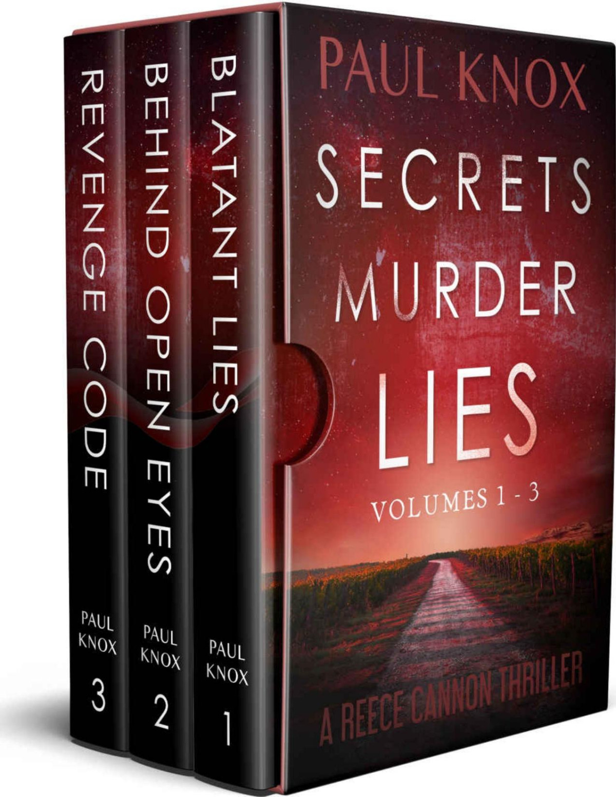 Secrets Murder Lies Reece Cannon Thrillers Vol 13 Absolutely Gripping Crime Mystery Thrillers Paul Knox Knox