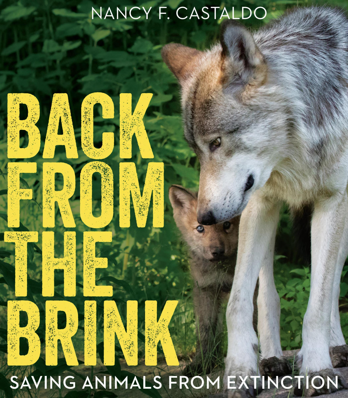 Back From The Brink Saving Animals From Extinction Nancy F Castaldo