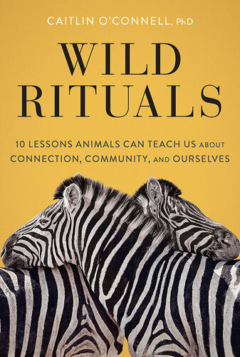 Wild Rituals Caitlin Oconnell