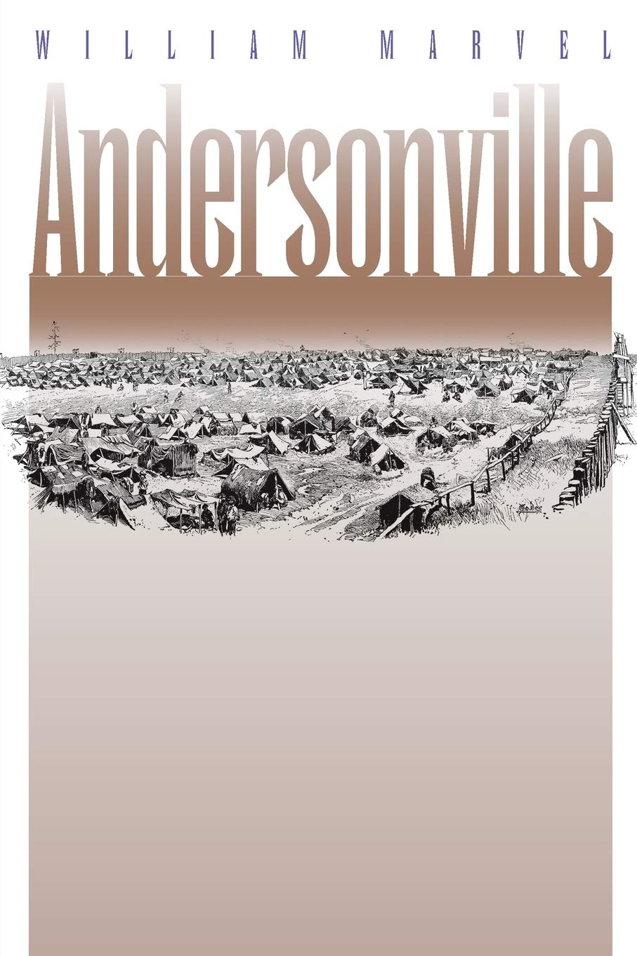 Andersonville The Last Depot William Marvel