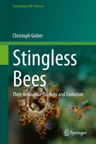 Stingless Bees Their Behaviour Ecology And Evolution 1st Ed Christoph Grter