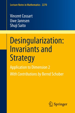 Desingularization Invariants And Strategy Application To Dimension 2 1st Ed Vincent Cossart