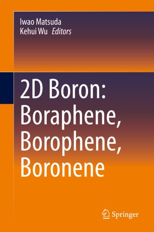2d Boron Boraphene Borophene Boronene 1st Ed Iwao Matsuda