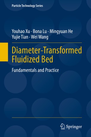 Diametertransformed Fluidized Bed Fundamentals And Practice 1st Ed Youhao Xu