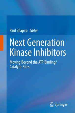 Next Generation Kinase Inhibitors Moving Beyond The Atp Bindingcatalytic Sites 1st Ed Paul Shapiro