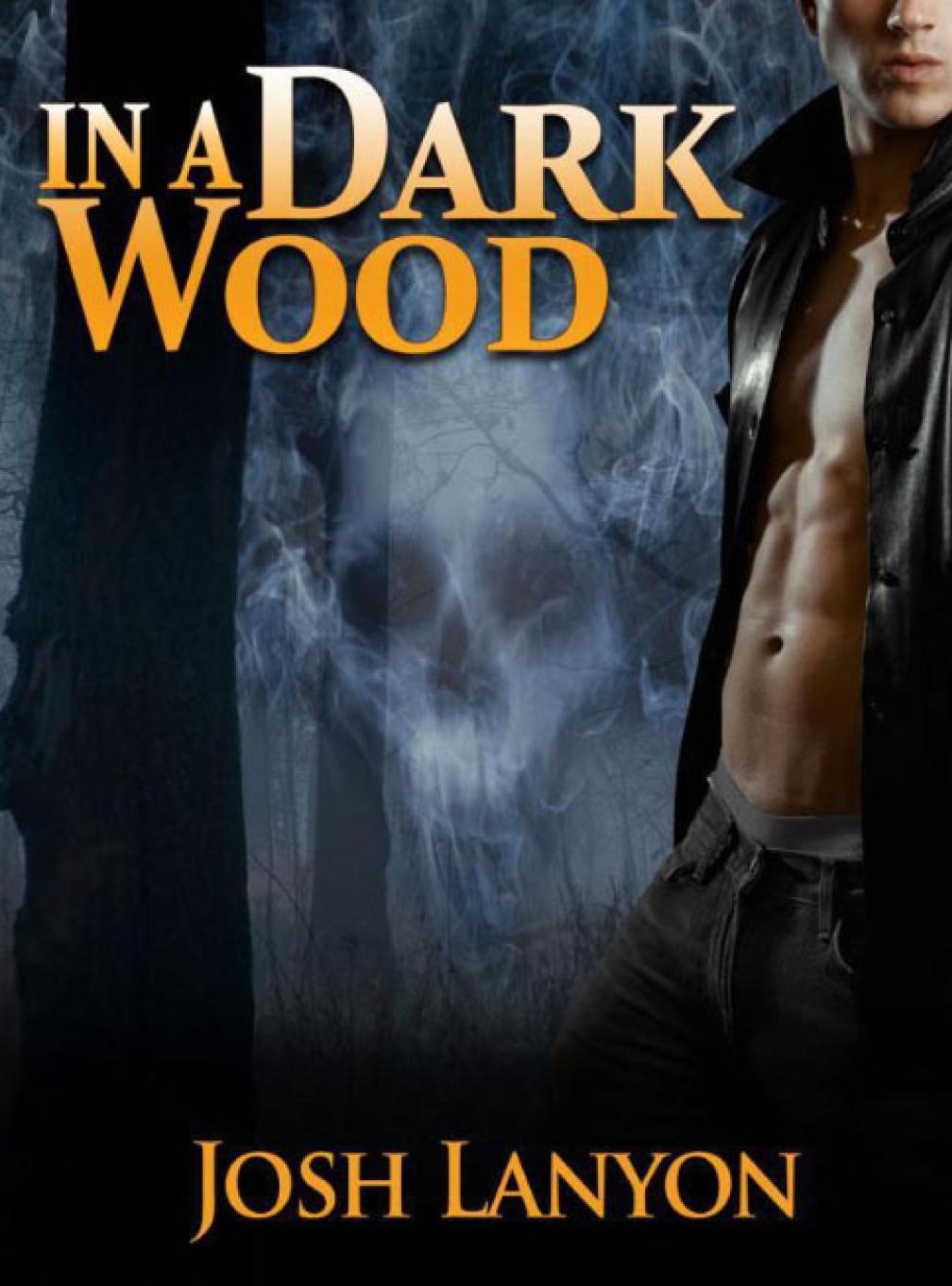 In A Dark Wood Josh Lanyon