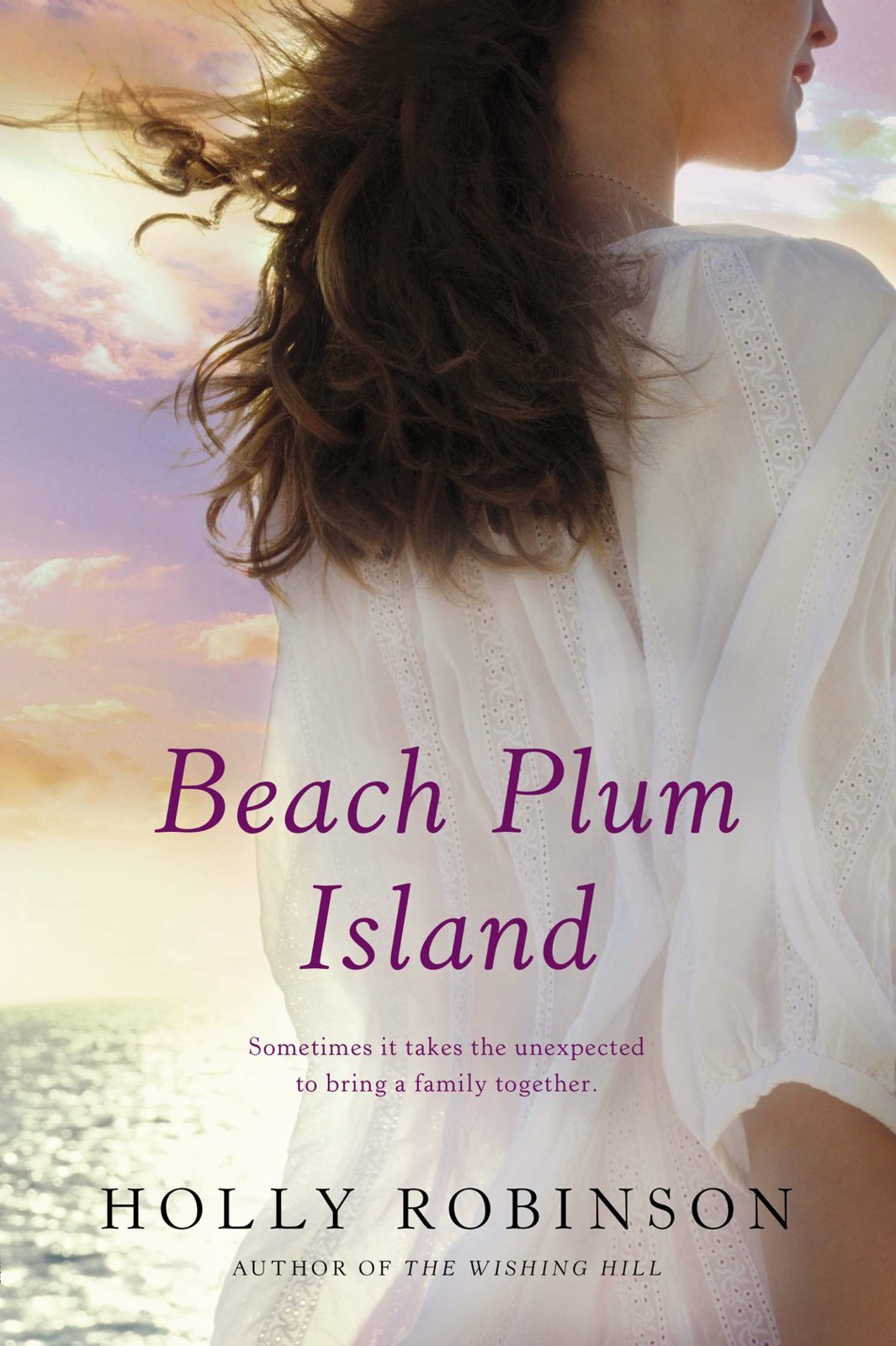 Beach Plum Island Holly Robinson