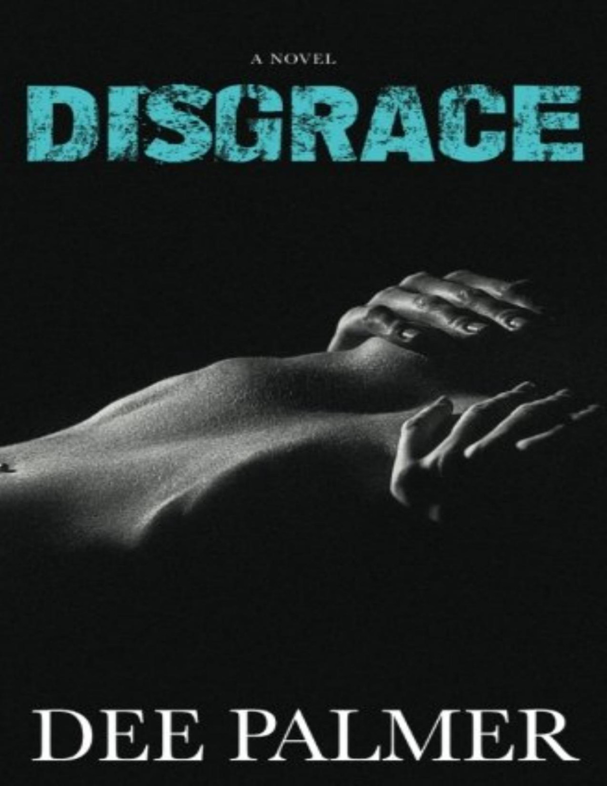 Disgrace An Erotic Novel Dee Palmer Palmer Dee