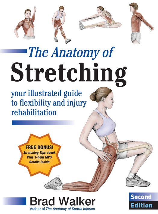The Anatomy Of Stretching Second Edition Your Illustrated Guide To Flexibility And Injury Rehabilitation Brad Walker