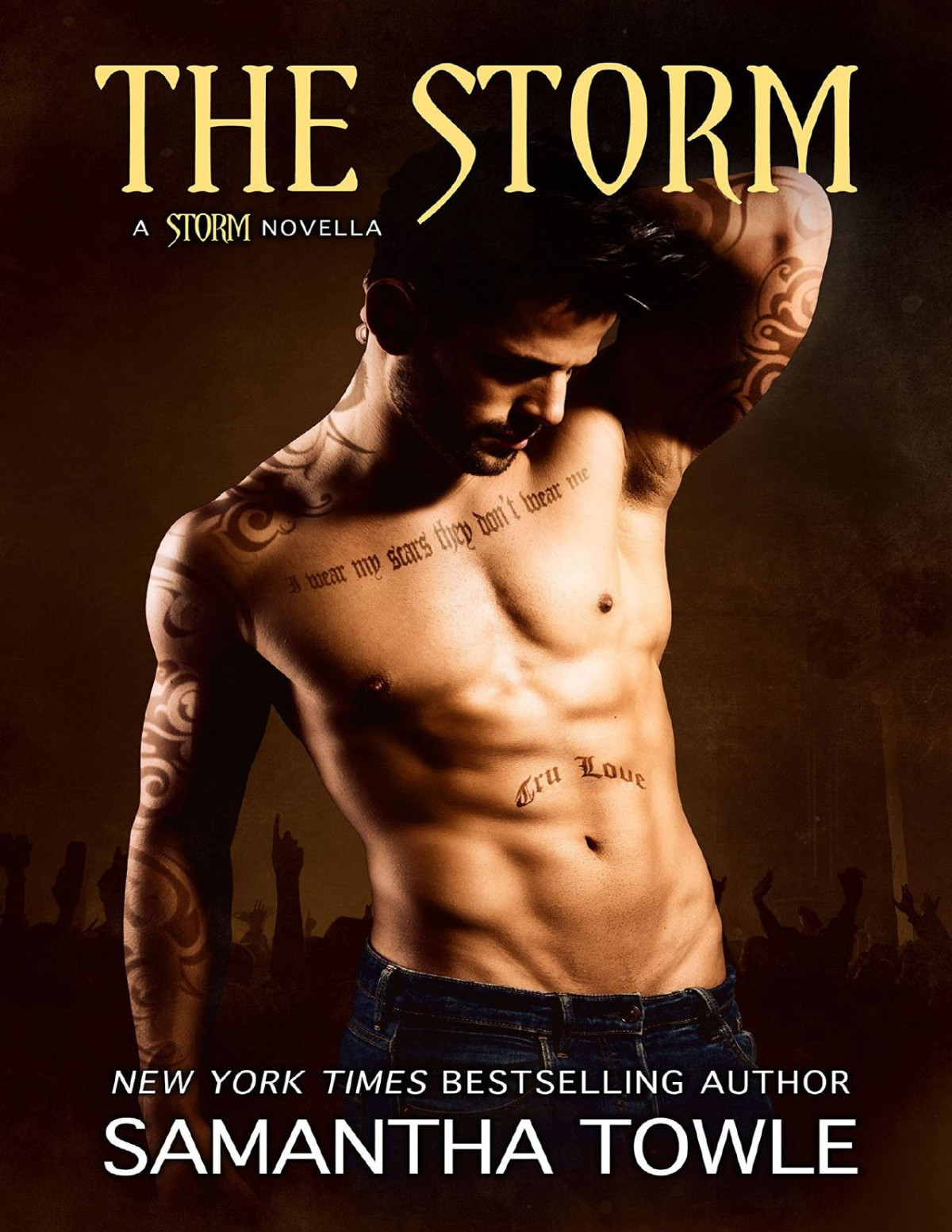 The Storm The Storm 4 Samantha Towle Towle Samantha