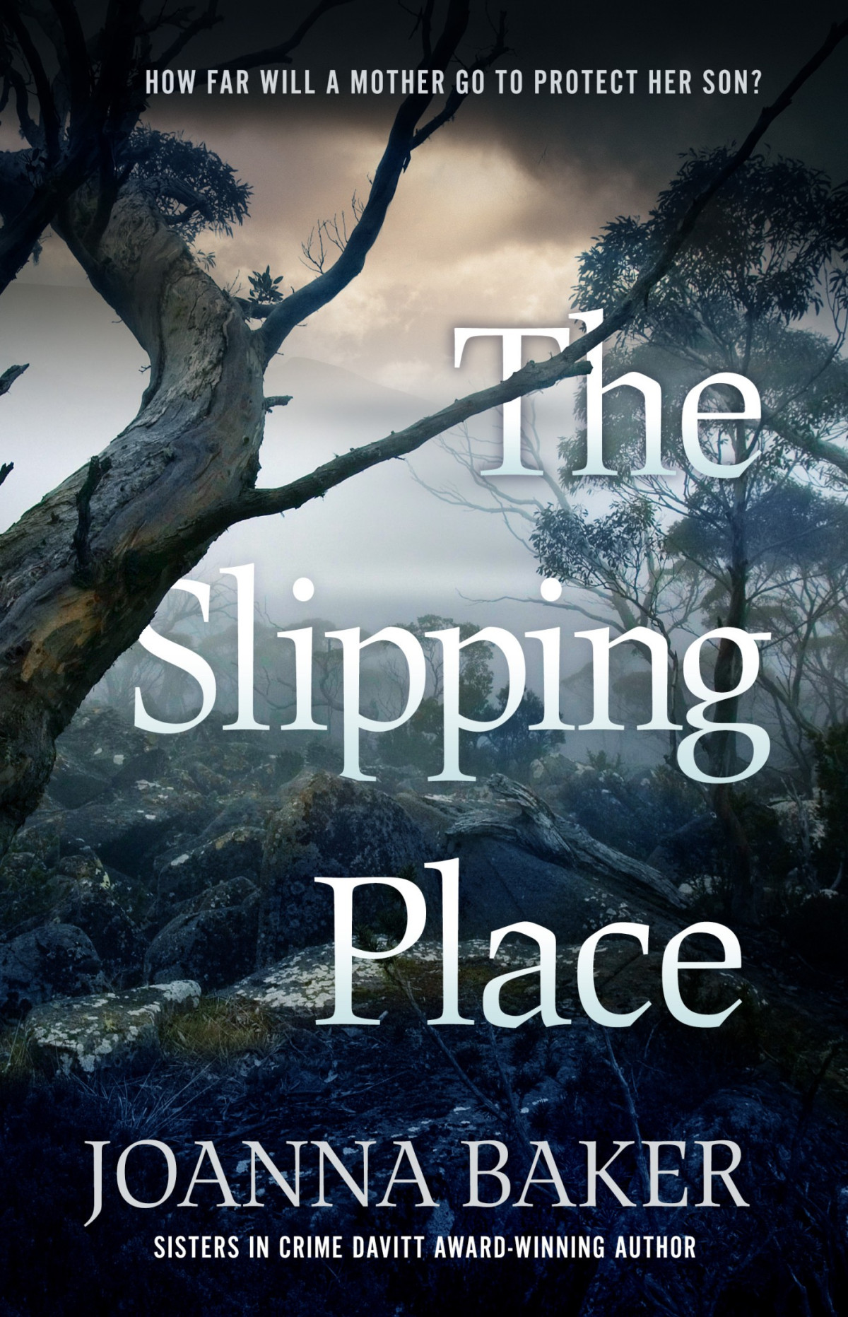 The Slipping Place Joanna Baker