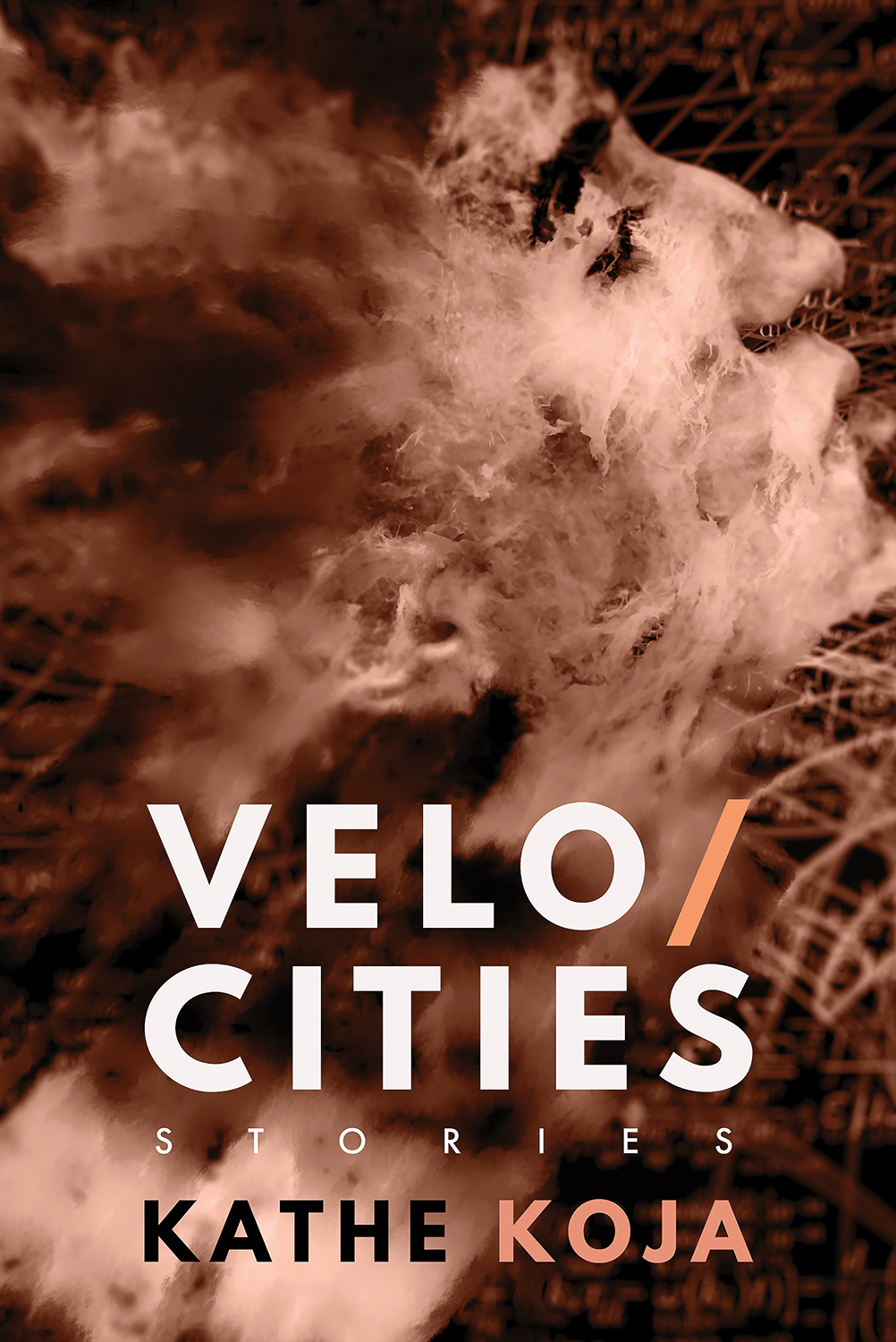 Velocities Kathe Koja