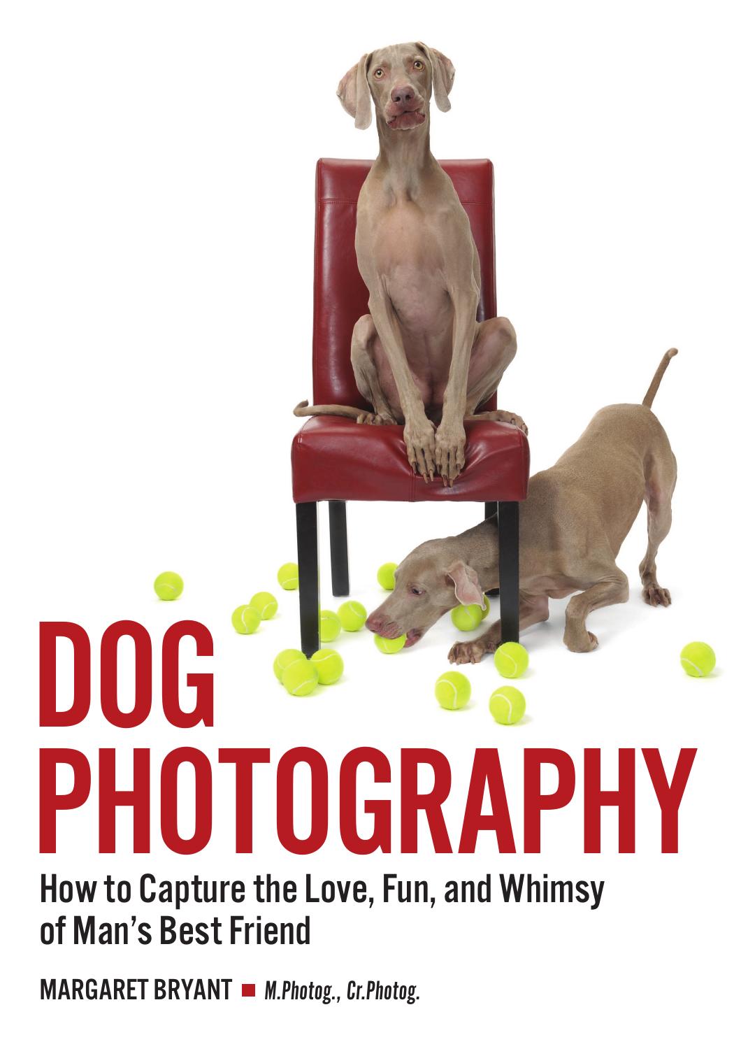Dog Photography Margaret Bryant