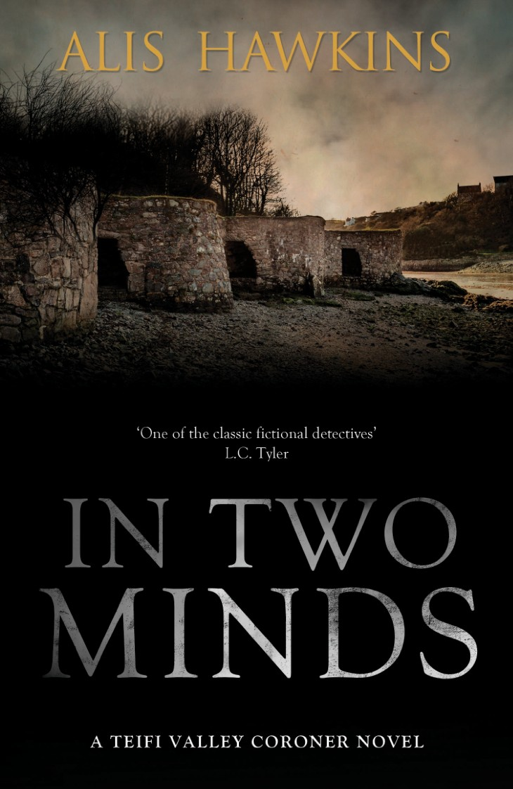 In Two Minds Alis Hawkins Hawkins Alis