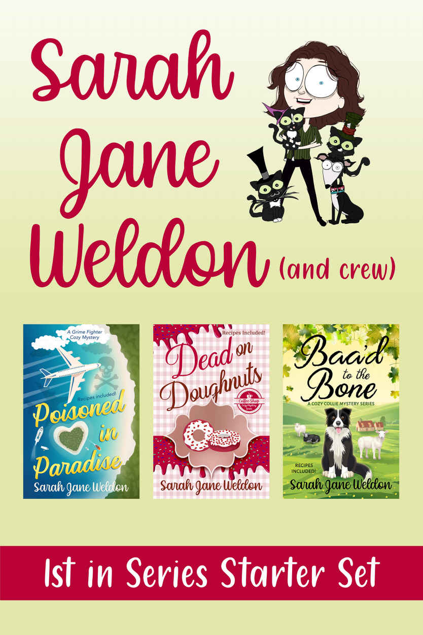 First Book In Series Cozy Mystery Starter Set Sarah Jane Weldon Weldon