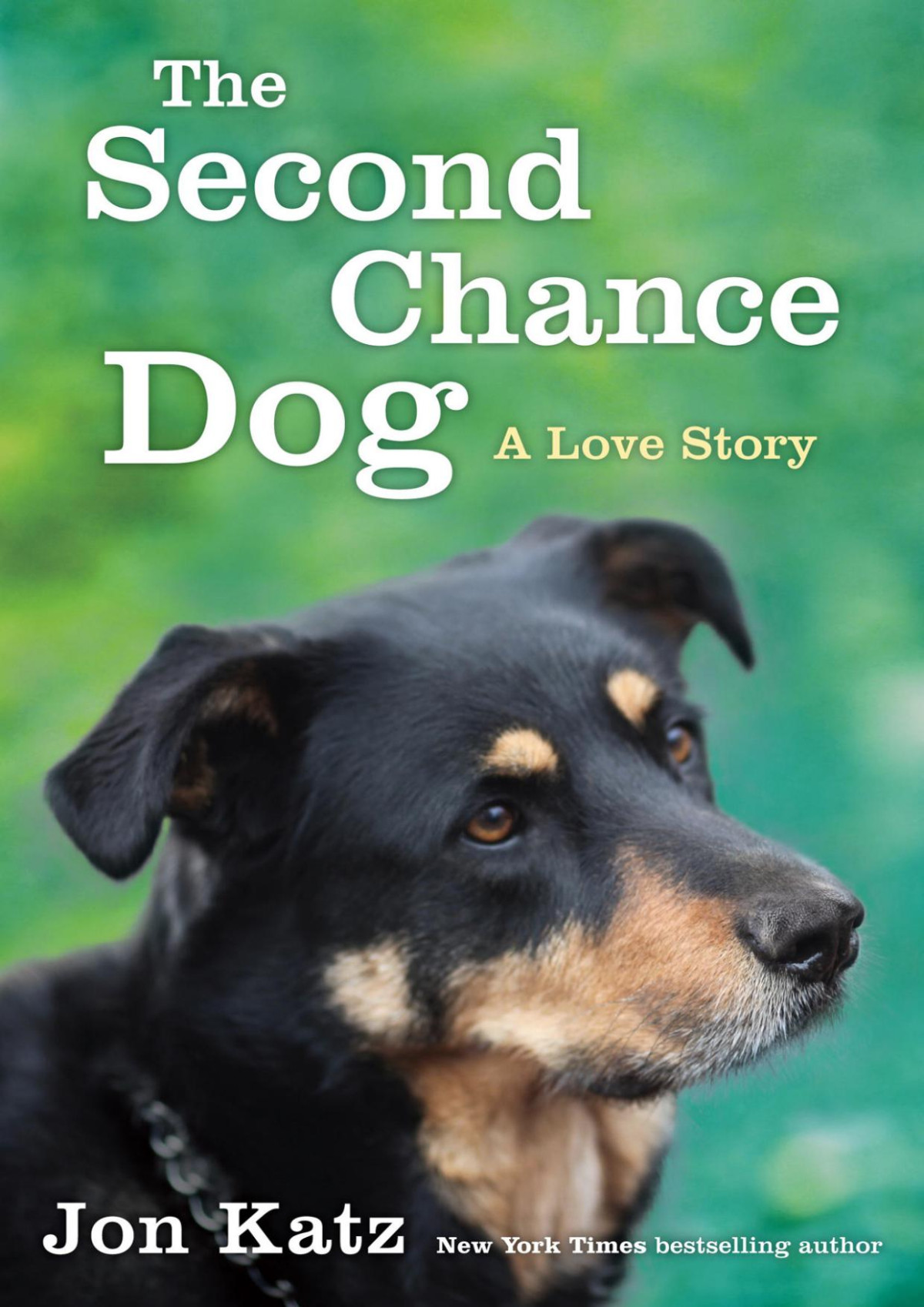 The Secondchance Dog Jon Katz Katz Jon