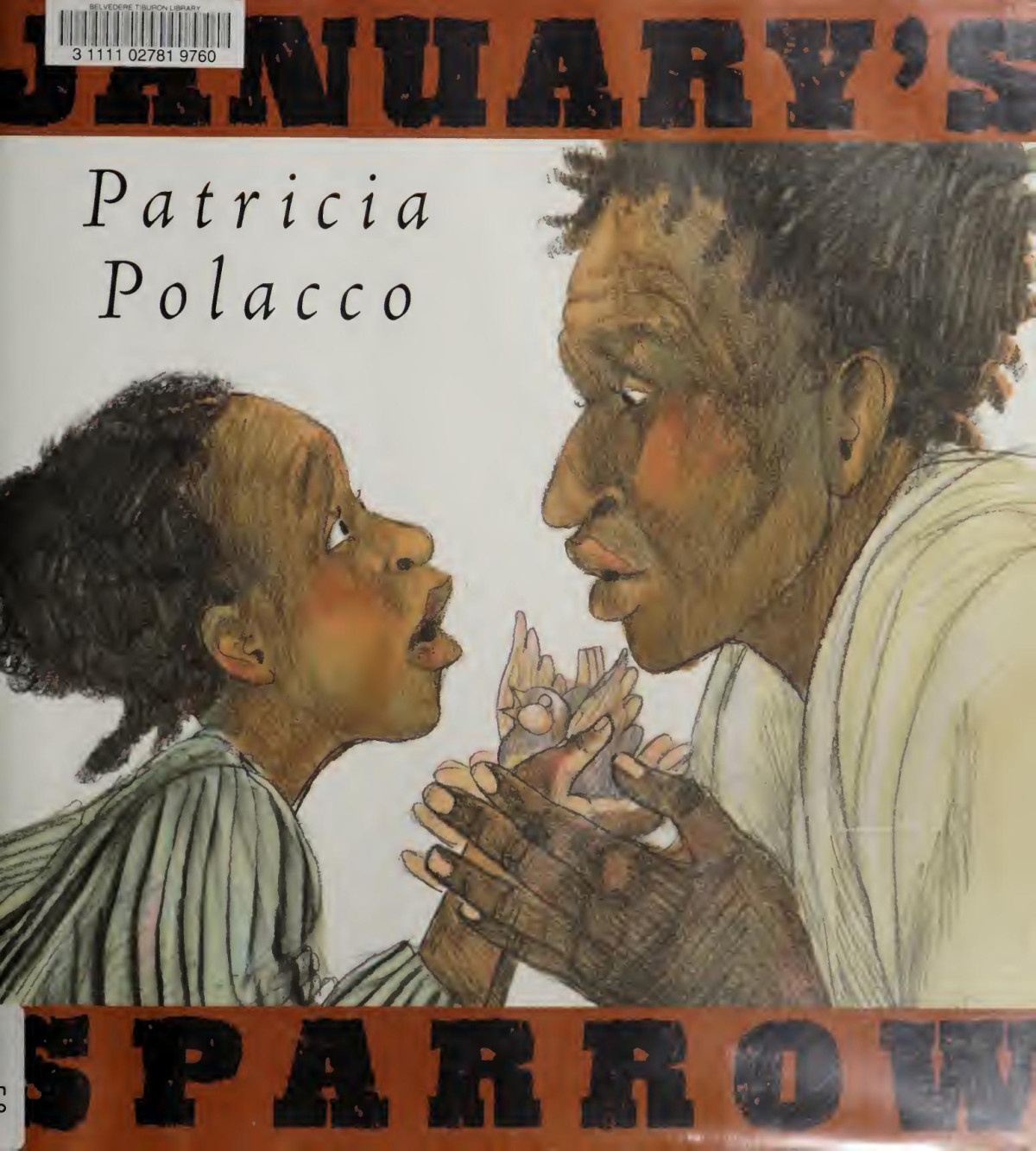 Januarys Sparrow Patricia Polacco