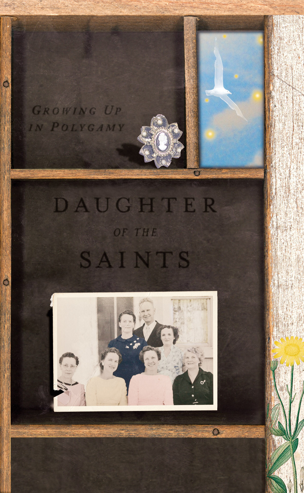 Daughter Of The Saints Dorothy Allred Solomon