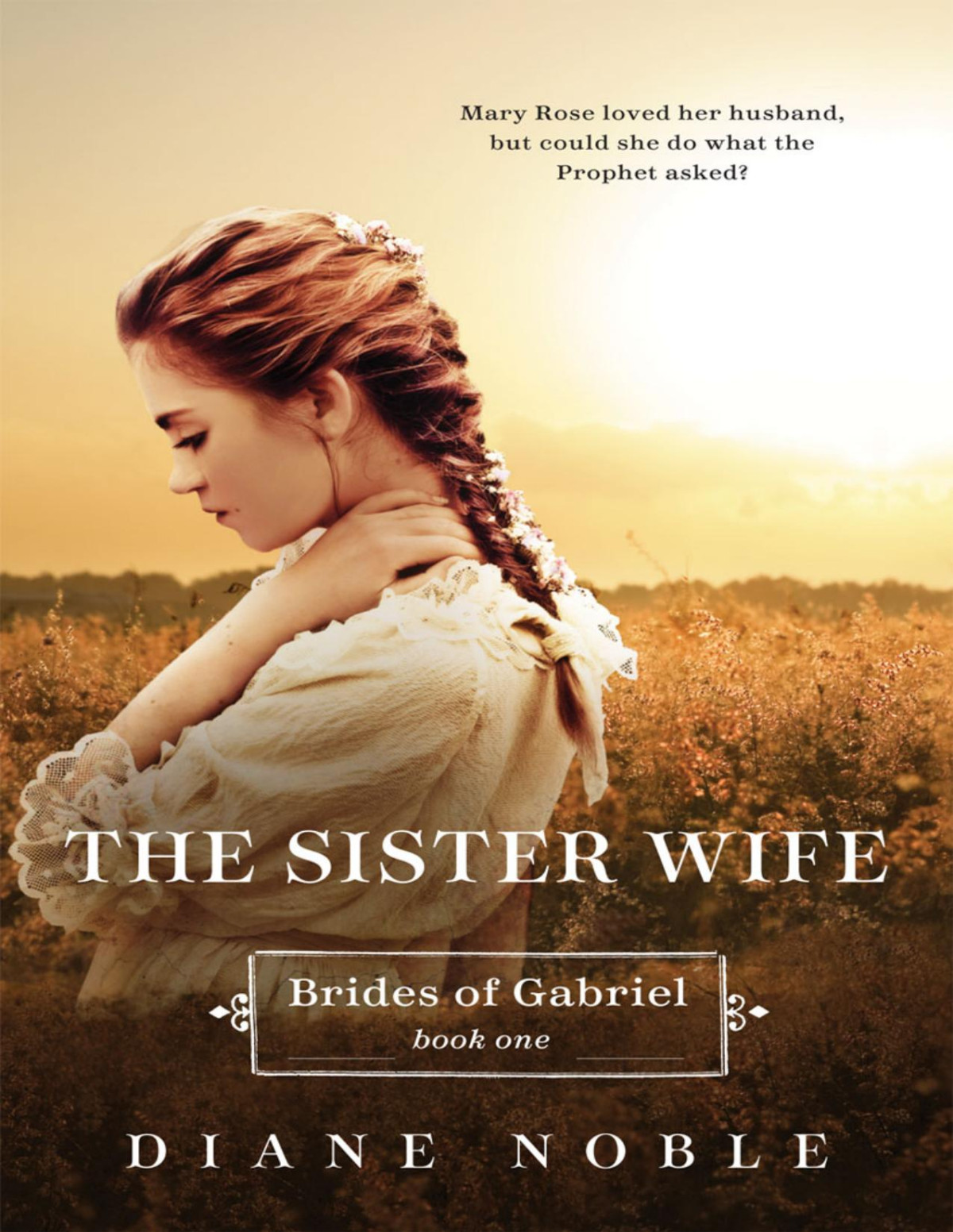 The Sister Wife Diane Noble
