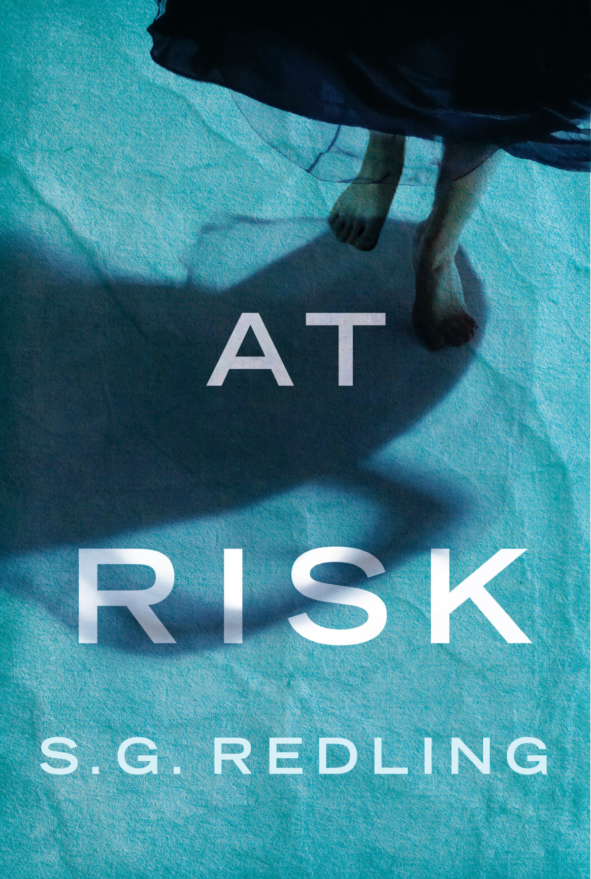 At Risk S G Redling