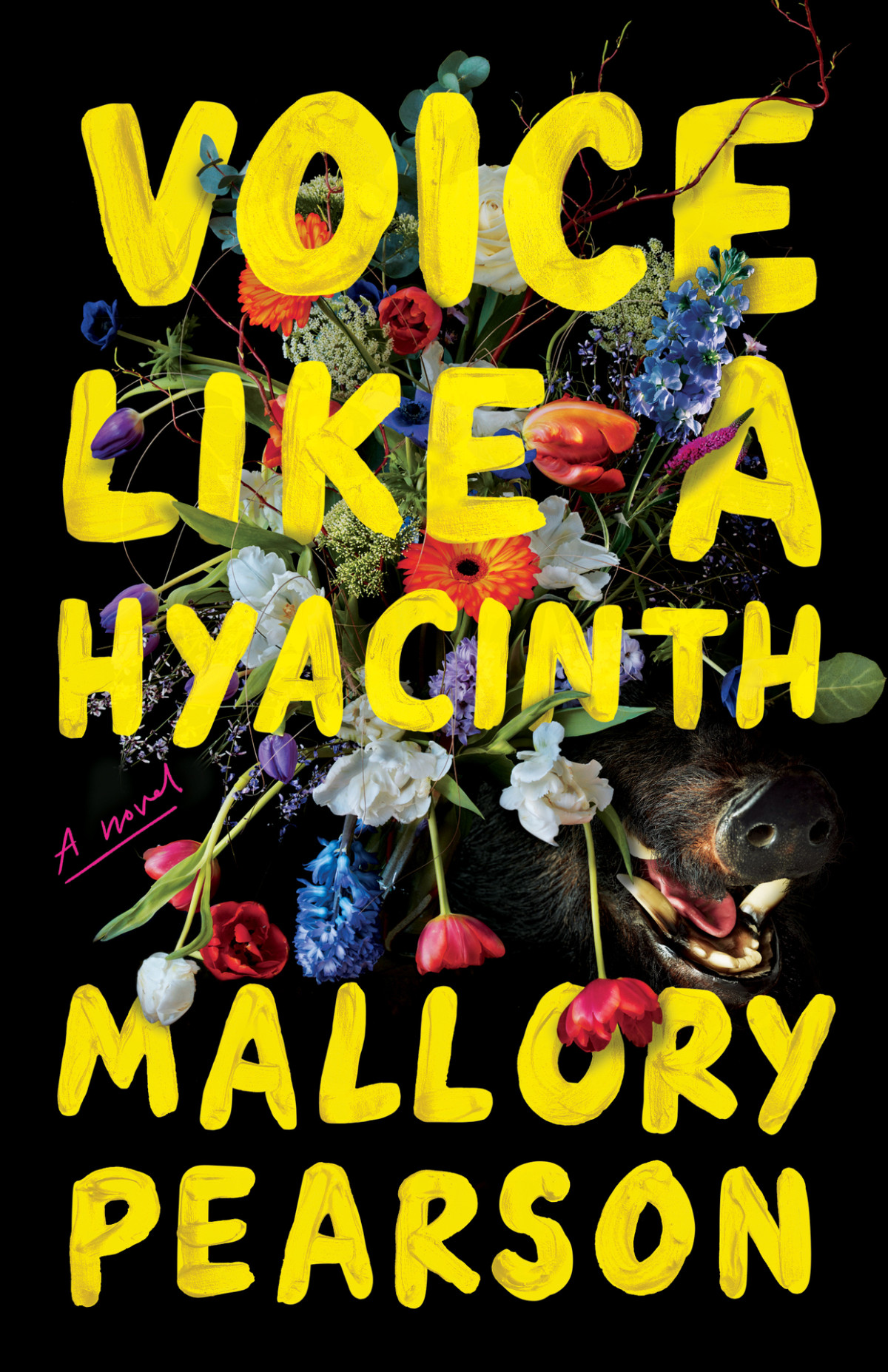 Voice Like A Hyacinth Mallory Pearson
