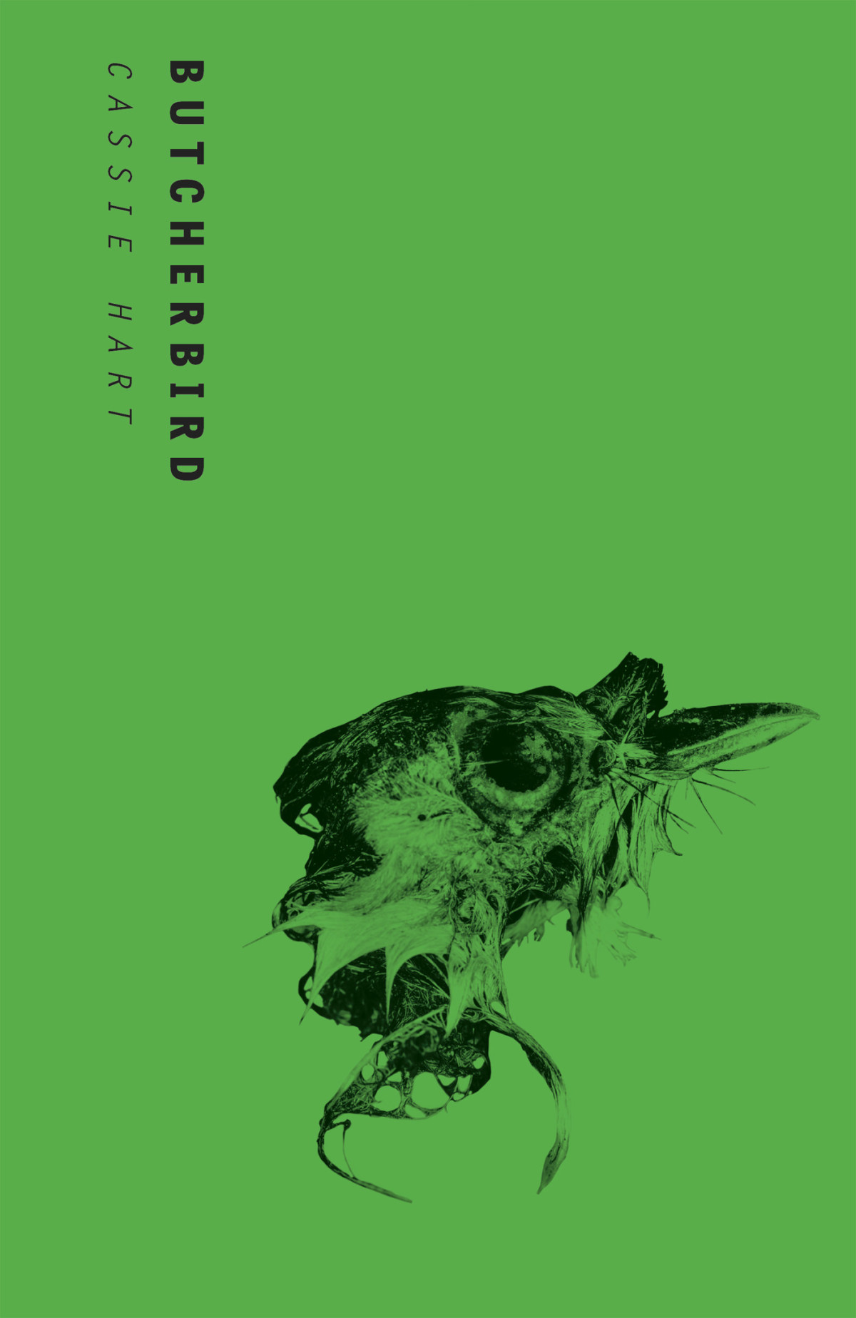 Butcherbird Cassie Hart