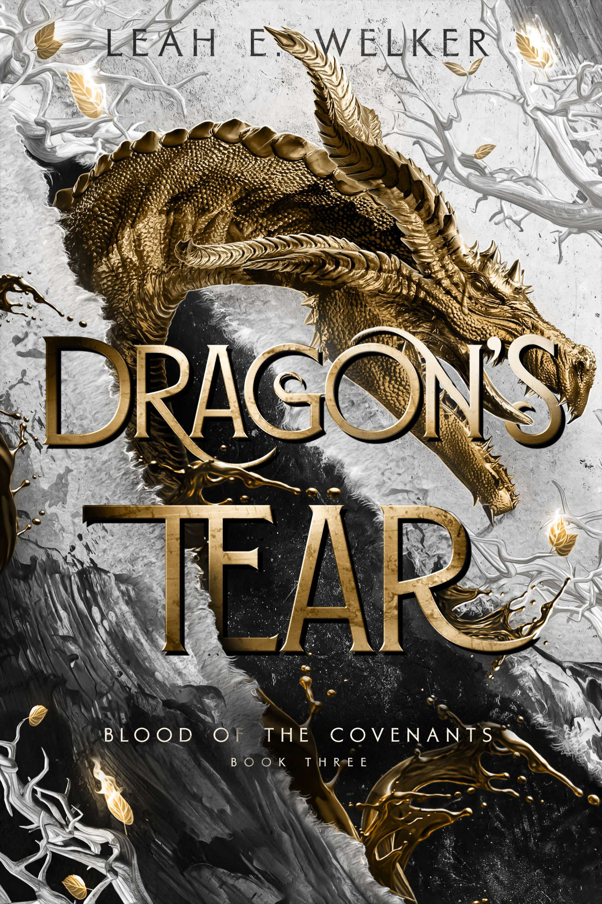 Dragons Tear Leah E Welker