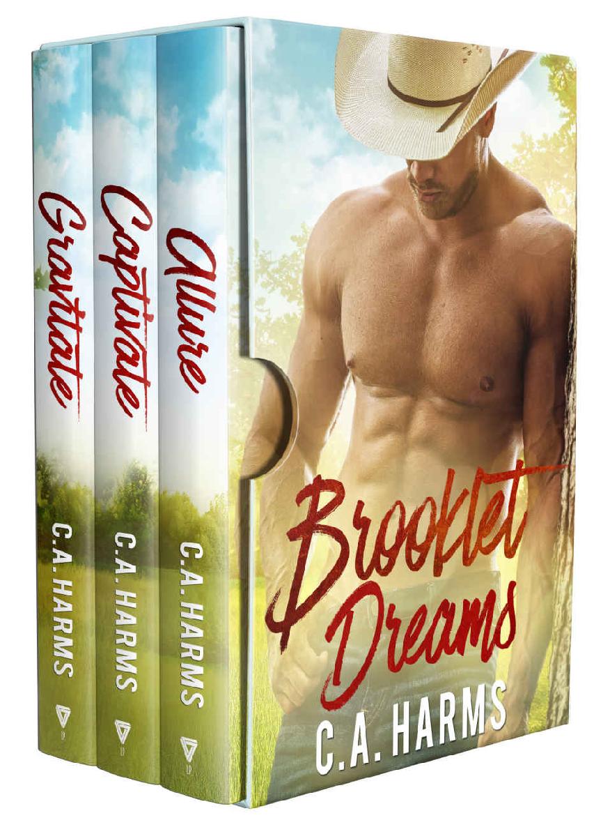 Brooklet Dreams Series Ca Harms Harms Ca