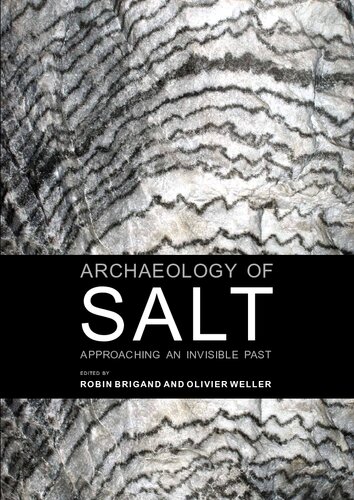 Archaeology Of Salt Approaching An Invisible Past 1st Edition Robin Brigand