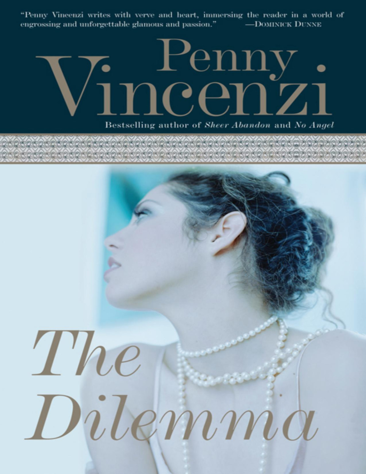 The Dilemma Penny Vincenzi