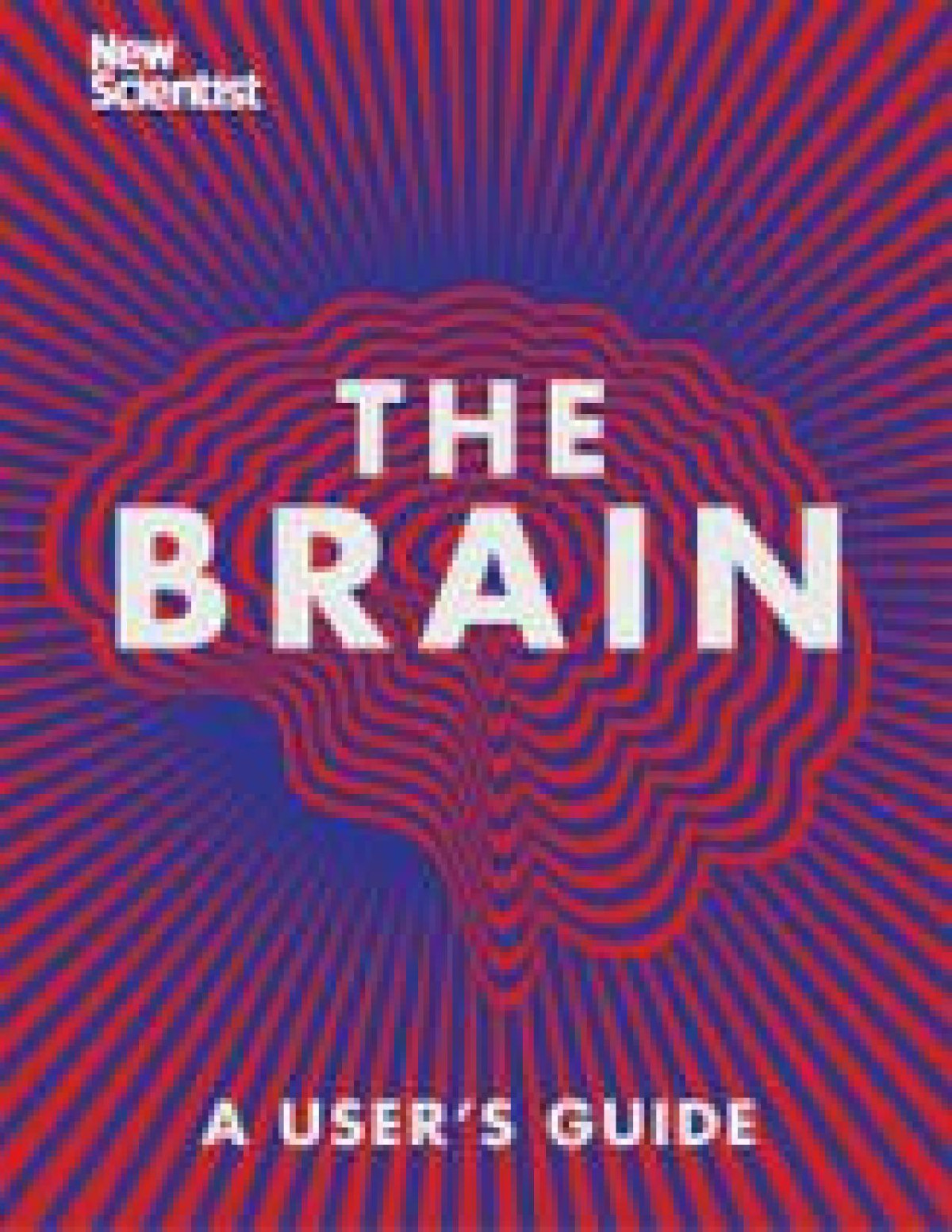 The Brain New Scientist