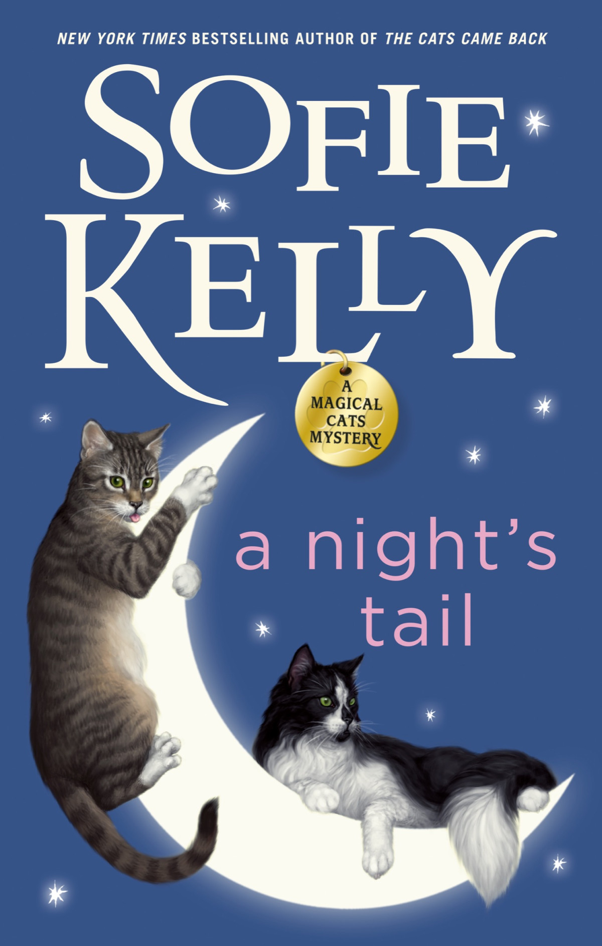 A Nights Tail