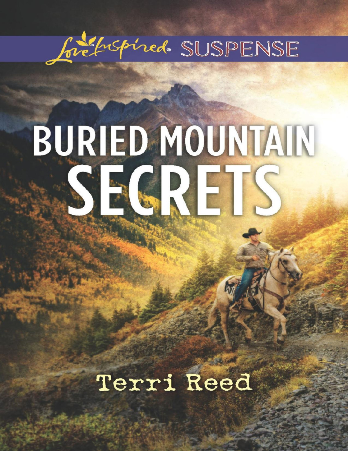 Buried Mountain Secrets Terri Reed Reed Terri