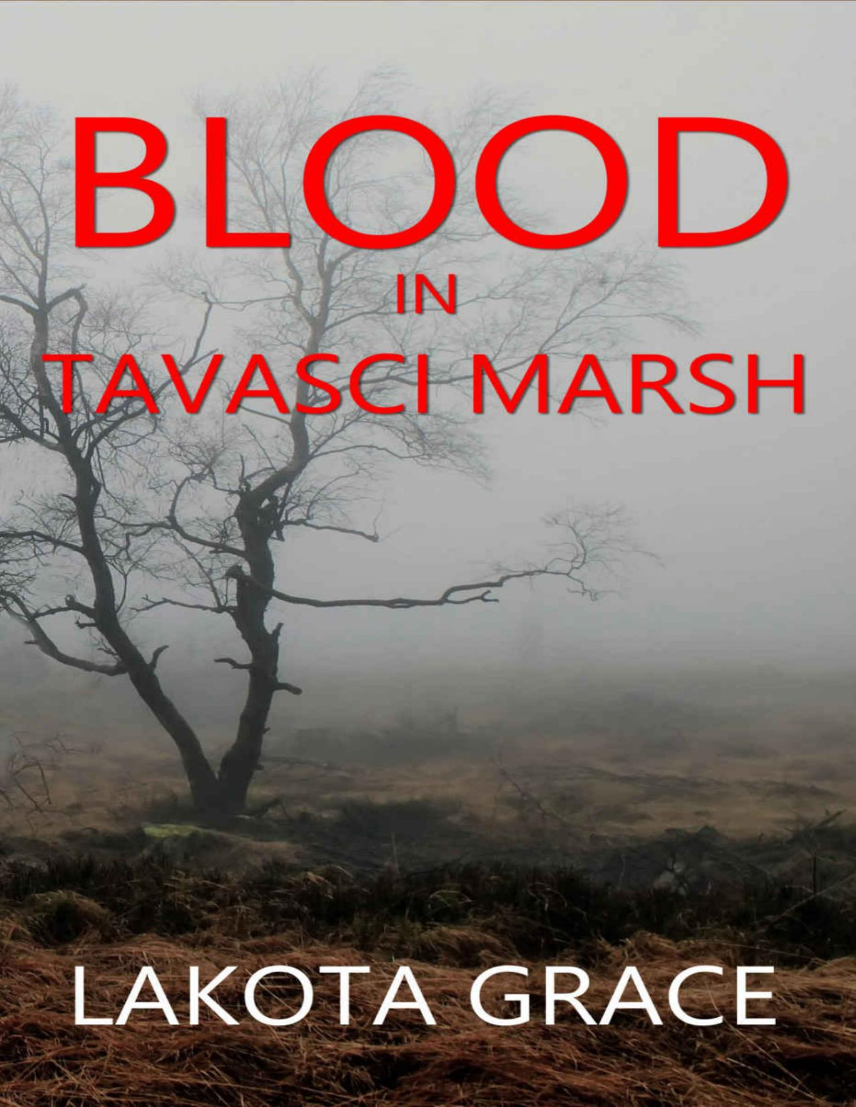 Blood In Tavasci Marsh Pegasus Quincy Mystery 2 Lakota Grace