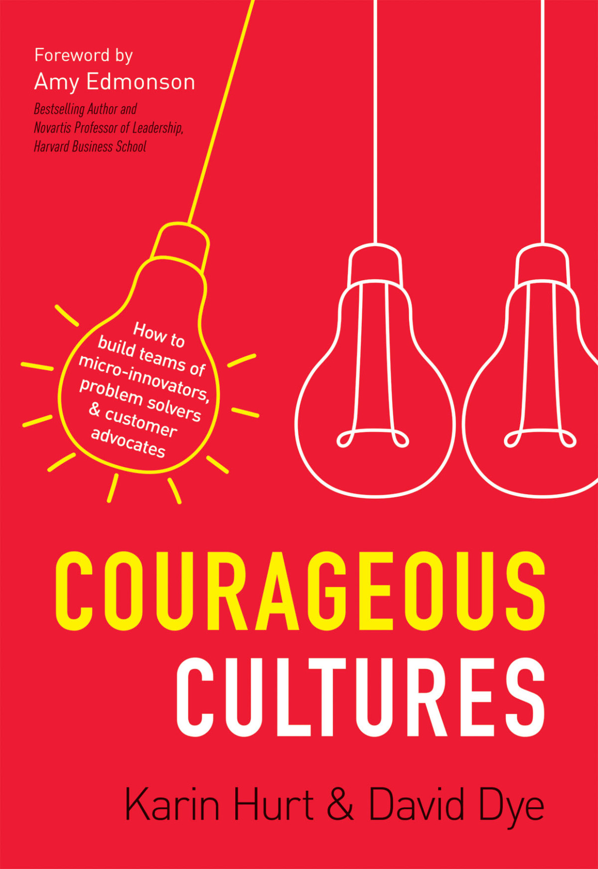 Courageous Cultures Karin Hurt