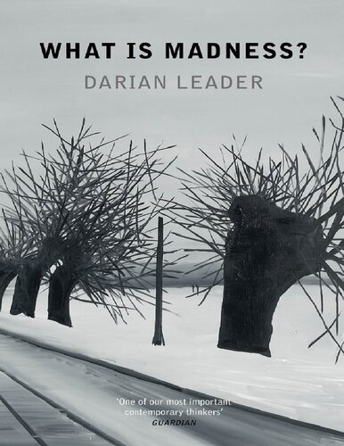 What Is Madness Darian Leader