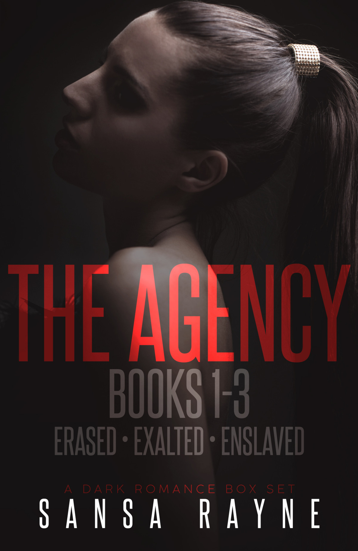 The Agency Books 13 A Dark Romance Box Set Rayne Sansa Rayne