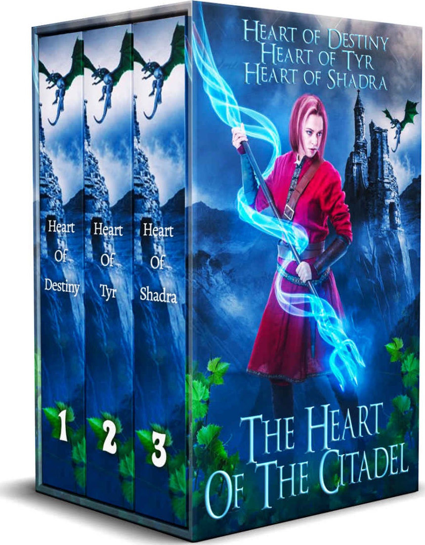 Heart Of The Citadel Box Set Books 13 Heart Of The Citadel Omnibus Susan Faw Faw