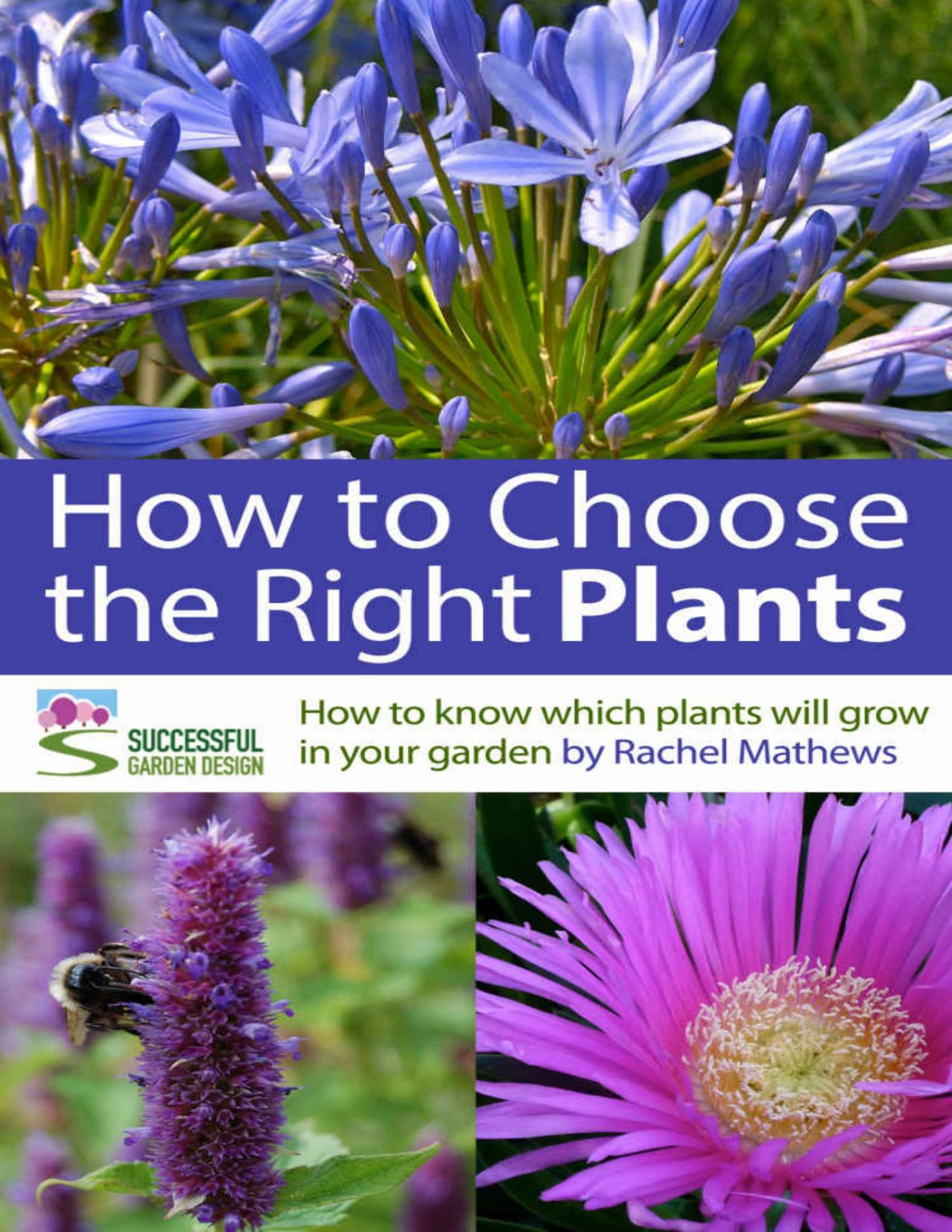 How To Choose The Right Plants For Your Garden Planting Knowhow Made Easy How To Plan A Garden Series Book 4 Rachel Mathews