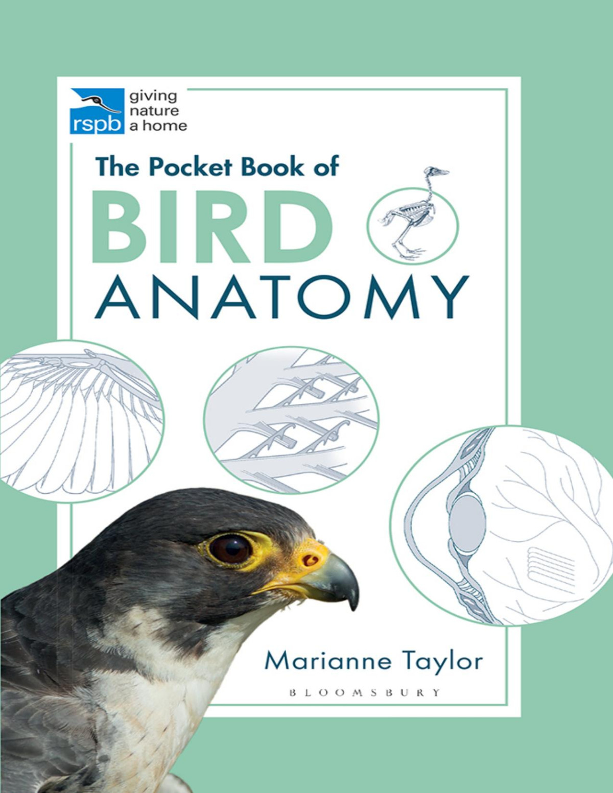 The Pocket Book Of Bird Anatomy Marianne Taylor